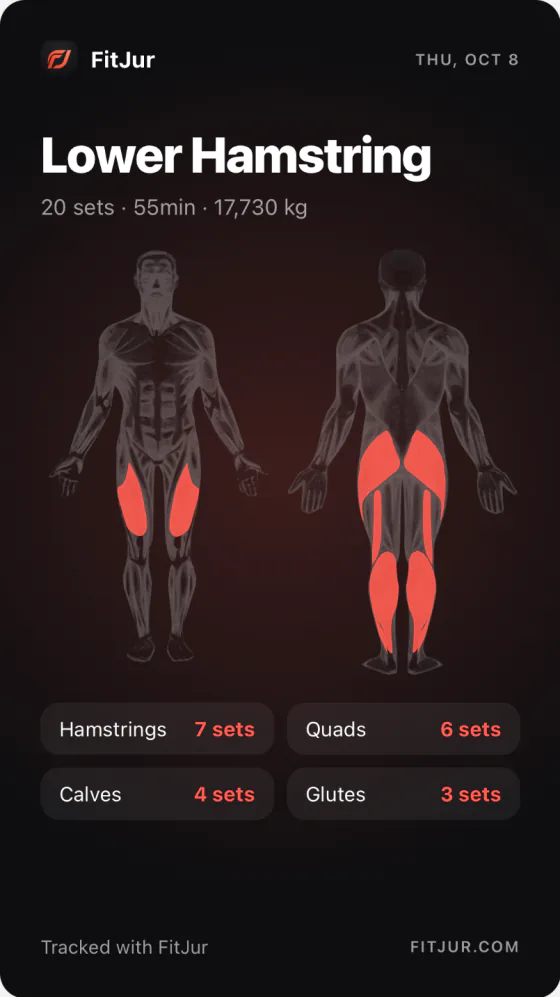 Muscles worked